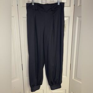 P44 NWT Anthropologie Size Large Black Cuffed Full Leg Pleated Pants Back Zipper